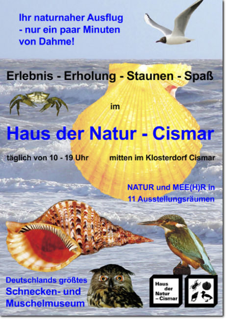 Museum mit der familiären Atmosphäre an der Ostsee
